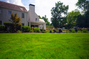 Oasis Landscapes & Irrigation