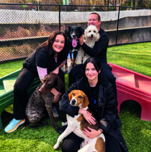 Montrose Animal Hospital & Pet Hotel