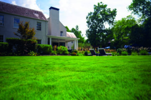 Oasis Landscapes & Irrigation