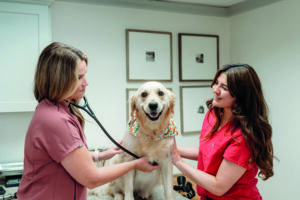 Providence Veterinary Clinic