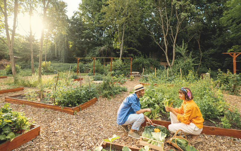 Master Gardeners Volunteers of Cobb County