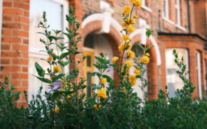 Vinings Historic Preservation Society