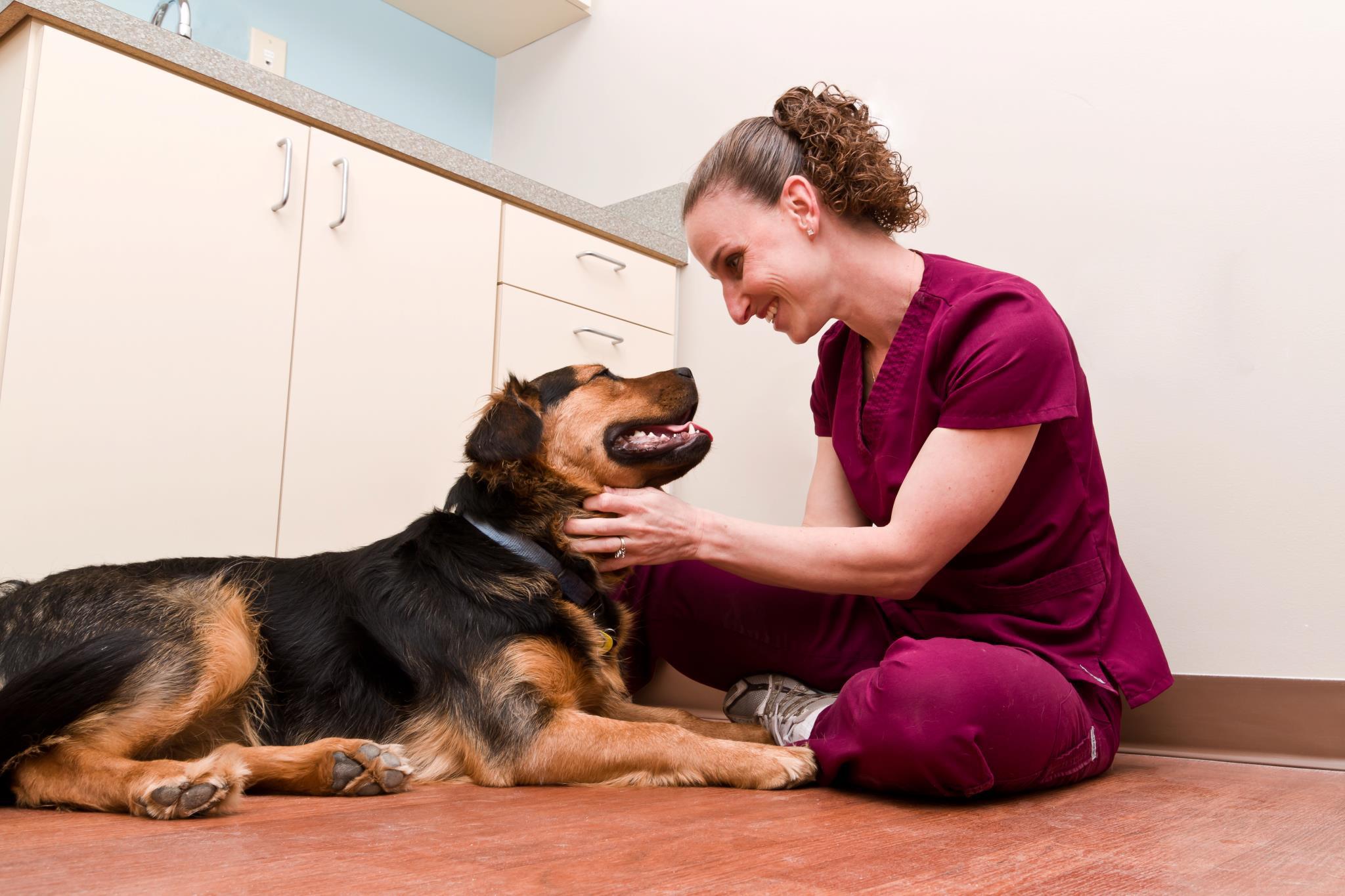 Belle Isle Animal Hospital
