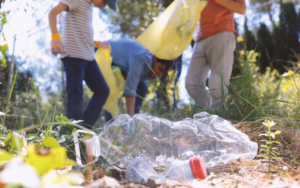 Keep North Fulton Beautiful