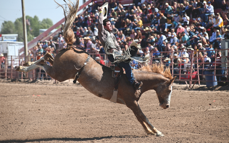 IPRA Rodeo